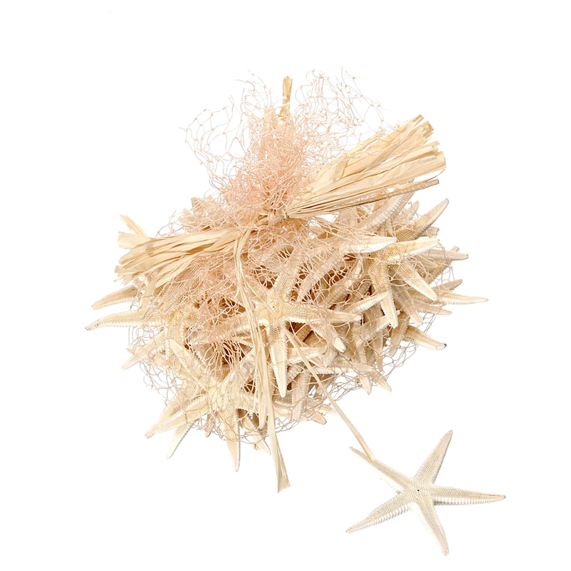 Set 600 Stelle Marine in Rete 25x35 cm