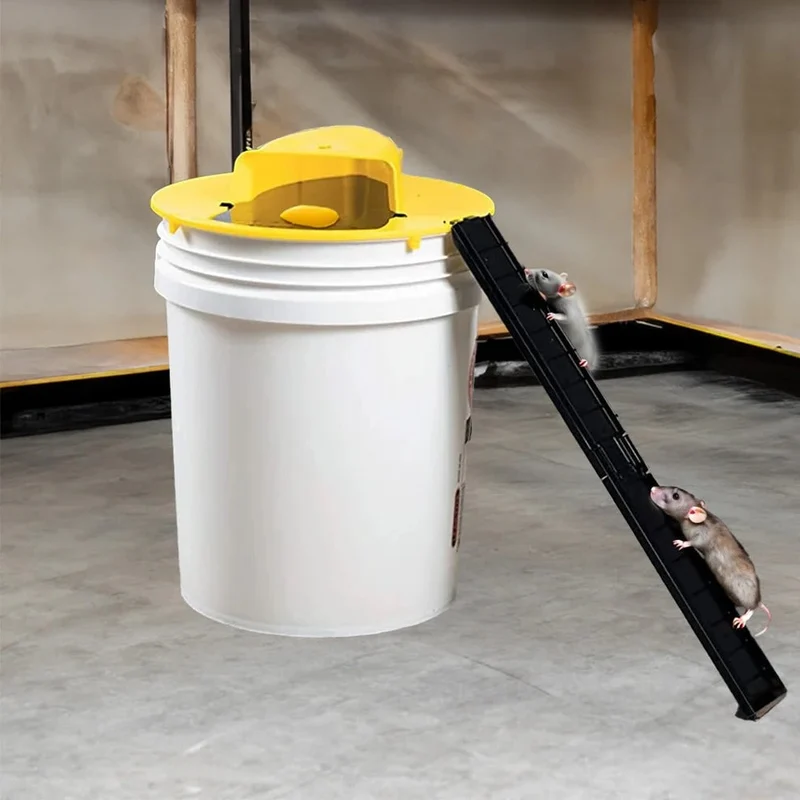 Humane Mouse Trap with Five Gallon Bucket and Automatic Ladder Ramp
