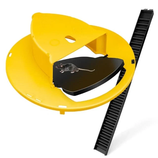 Humane Mouse Trap with Five Gallon Bucket and Automatic Ladder Ramp