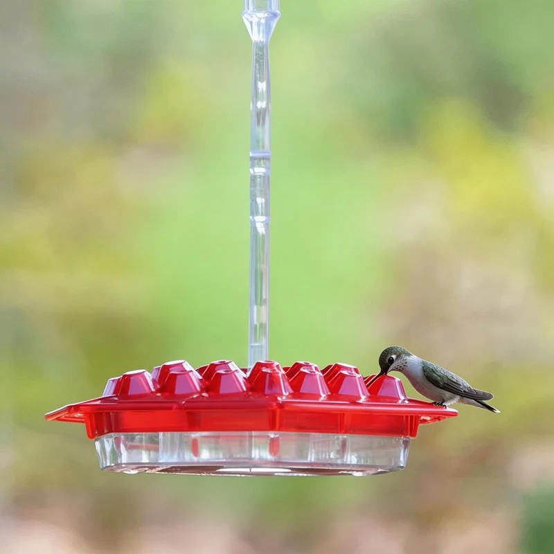 Hummingbird Feeder with Raised Diamond Ports and Multiple Feeding Stations