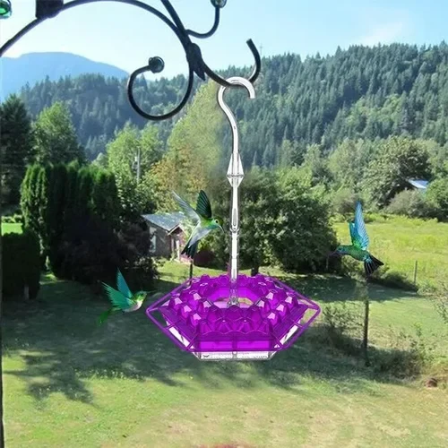 Hummingbird Feeder with Raised Diamond Ports and Multiple Feeding Stations