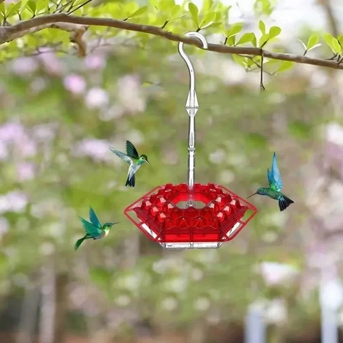 Hummingbird Feeder with Raised Diamond Ports and Multiple Feeding Stations