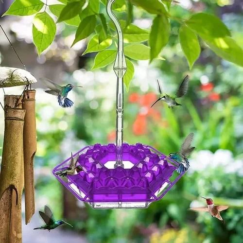 Hummingbird Feeder with Raised Diamond Ports and Multiple Feeding Stations