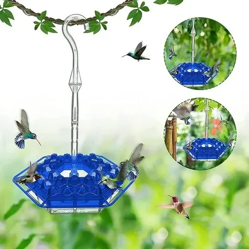 Hummingbird Feeder with Raised Diamond Ports and Multiple Feeding Stations