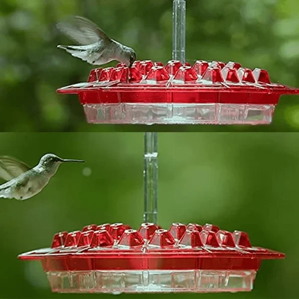 Hummingbird Feeder with Raised Diamond Ports and Multiple Feeding Stations