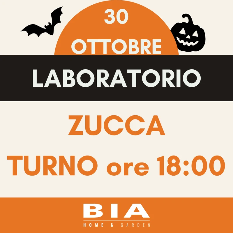 30 ottobre 2026 - Laboratorio bimbi zucca Halloween
