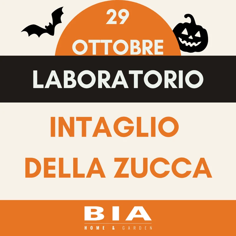 29 ottobre 2026 - Laboratorio bimbi zucca Halloween