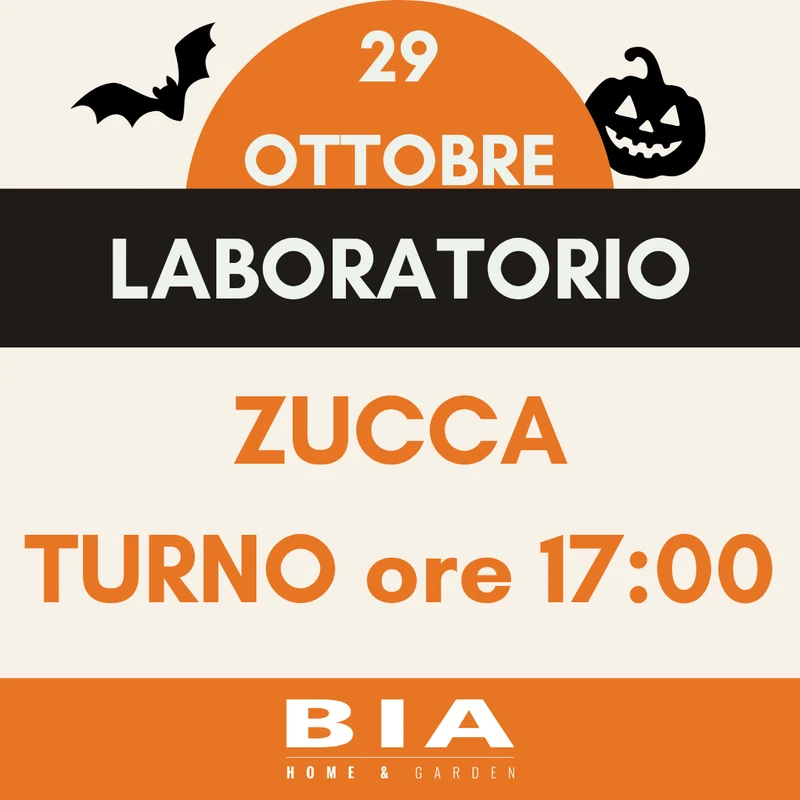 29 ottobre 2026 - Laboratorio bimbi zucca Halloween