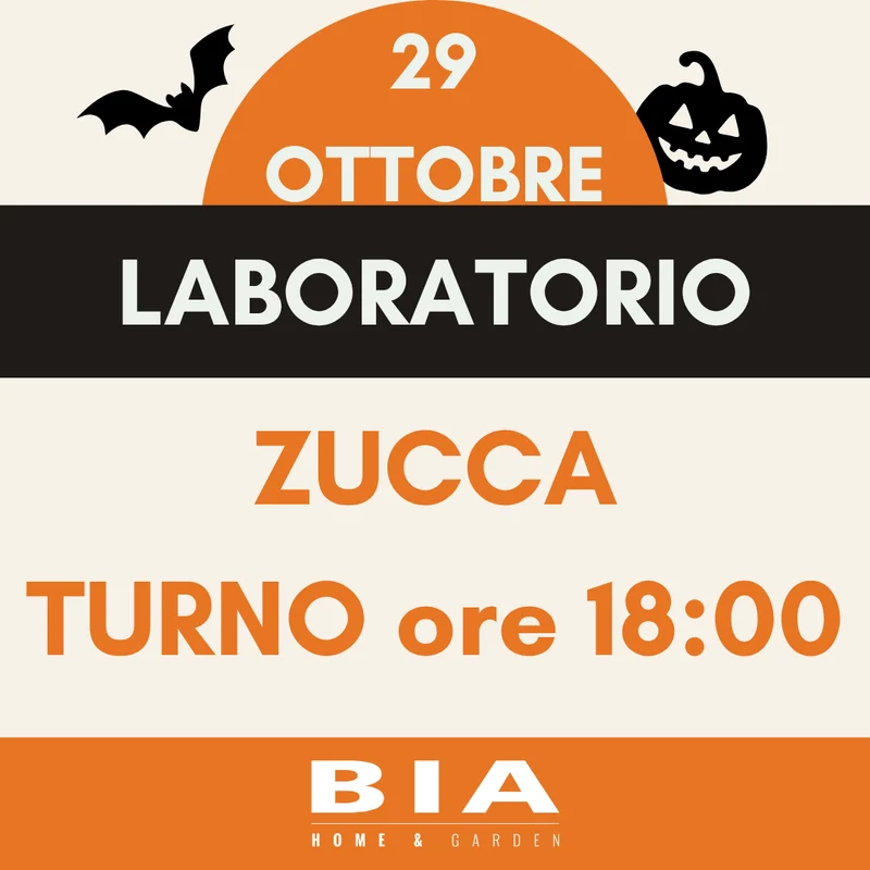 29 ottobre 2026 - Laboratorio bimbi zucca Halloween