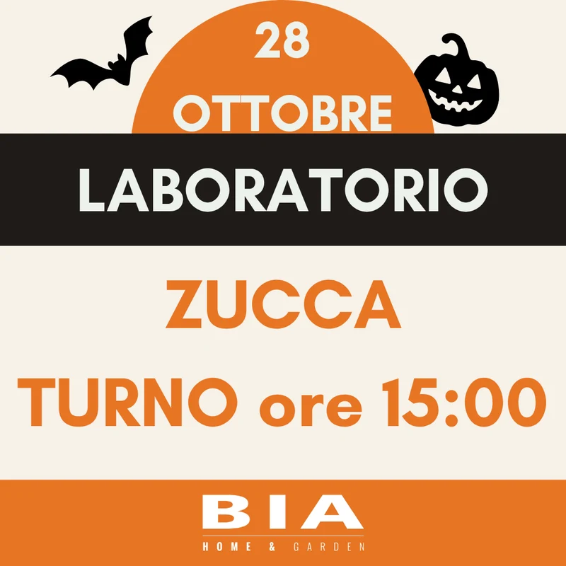 28 ottobre 2026 - Laboratorio bimbi zucca Halloween