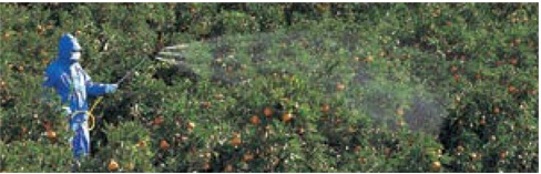 YAMAHO Kirinashi (Ultra Low-Drift) Sprayer for Fruit Tree N-KF-15B 141131 G1/4 1 nozzle