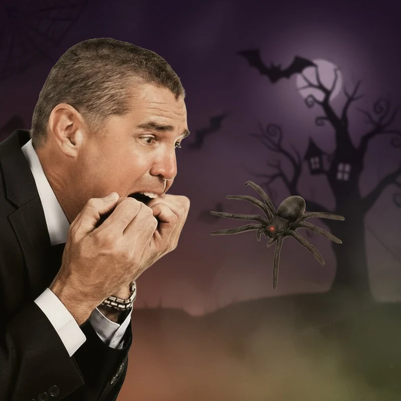Halloween Wooden Box with a Pop-Up Spider for Pranks and Fun, Pop-Up Spider