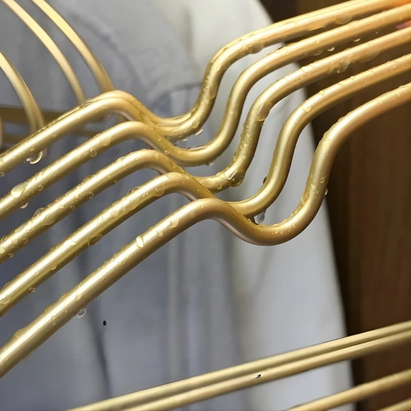 Non-slip Smooth Clothes Hanger 10 pcs