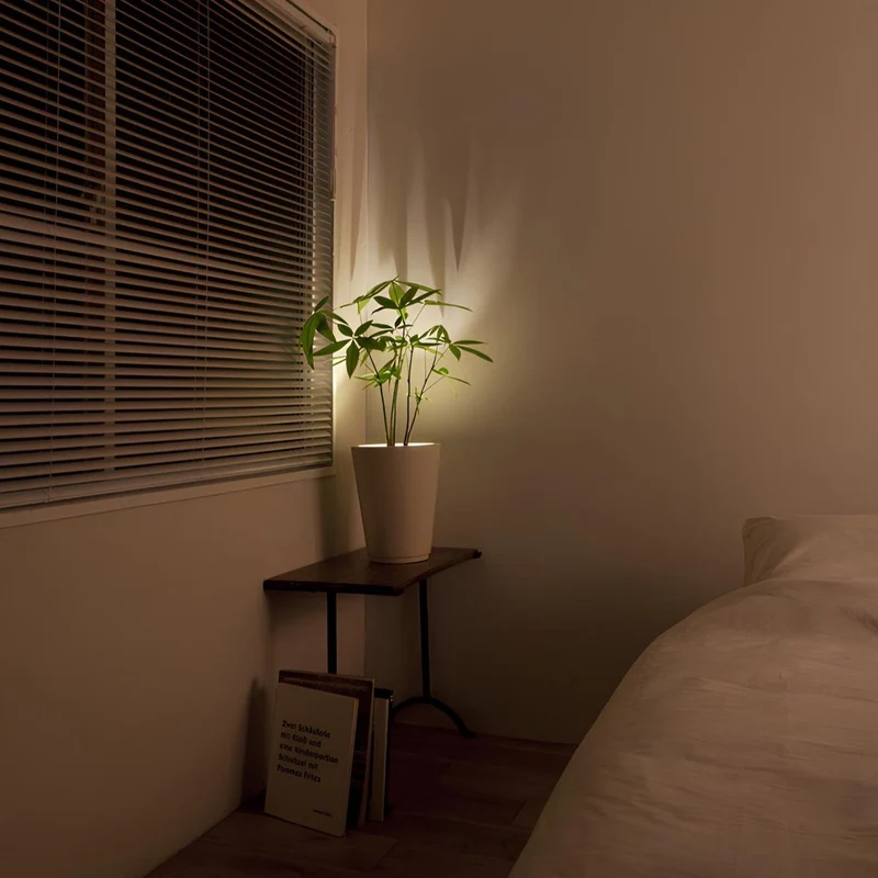 Wireless adjustable wall spotlight with remote control