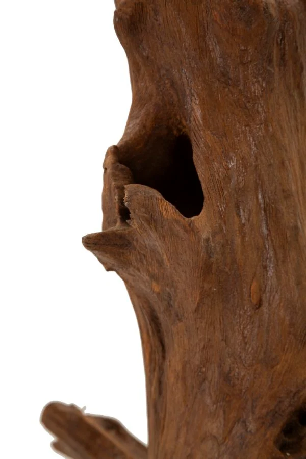 Scultura Akar 23x27x64 cm in Teak Riciclato