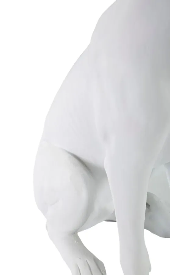 Statua Elegante di Cane con Corona Bianca 20x12,5x33 cm