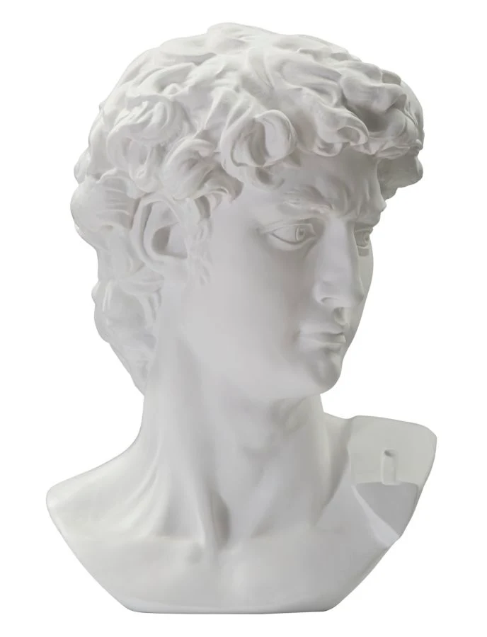 Testa Antica Bianca Scultura Elegante 44x35,5x60 cm