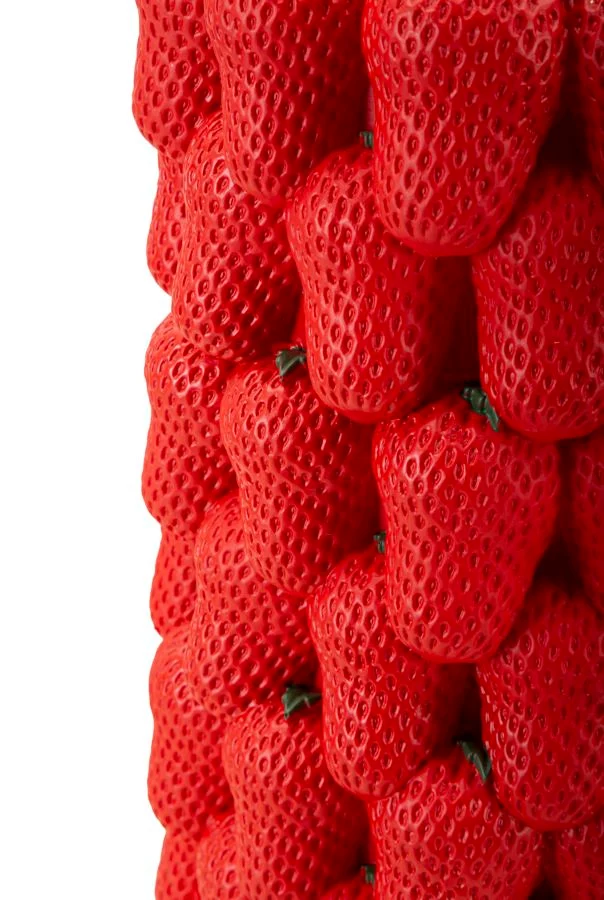 Vaso Strawberry Ø20x32 cm in Resina Rosso