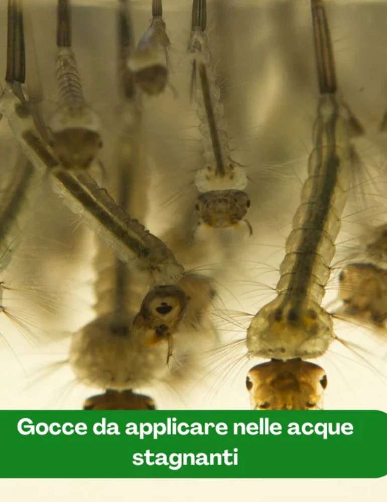 Barriera con Azione Fisico-Meccanica a Base di Oli Naturali | Mosquitorex - 7010