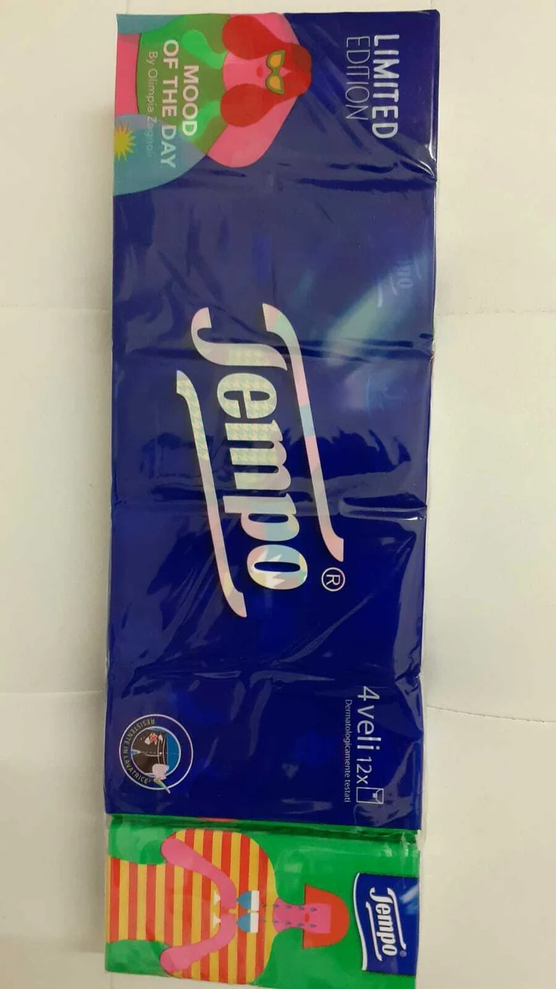 2x12TEMPO Fazzol 4Veli Morbidi Resistenti Pulizia Naso Mani Igiene limited 24pz