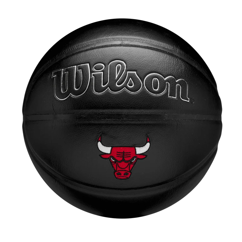 Pallone da basket NBA Team Premiere