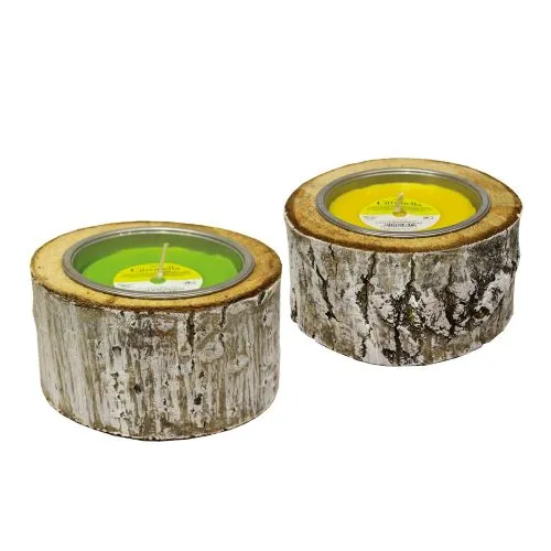 TRONCHETTO CITRONELLA SBIANCATO D18X19CM