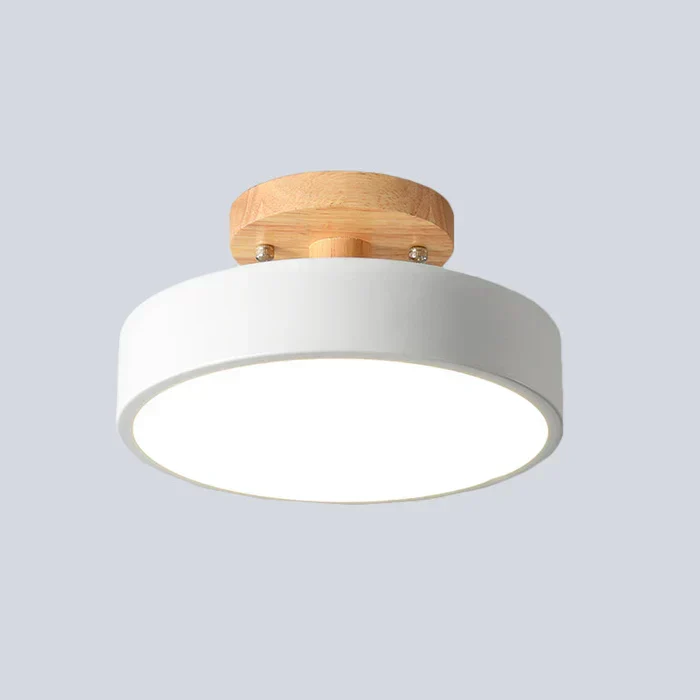 Elegant Scandinavian LED ceiling lamp