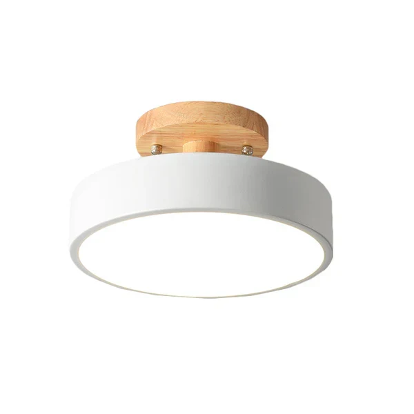 Elegant Scandinavian LED ceiling lamp
