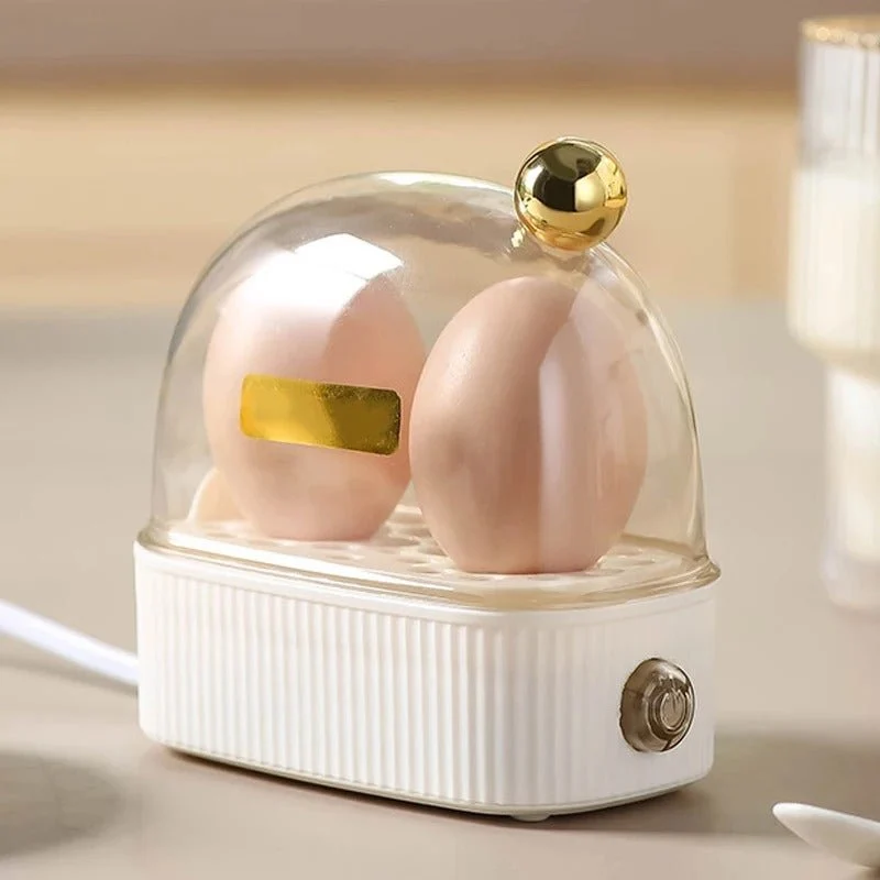 Efficient Portable Automatic Egg Cooker