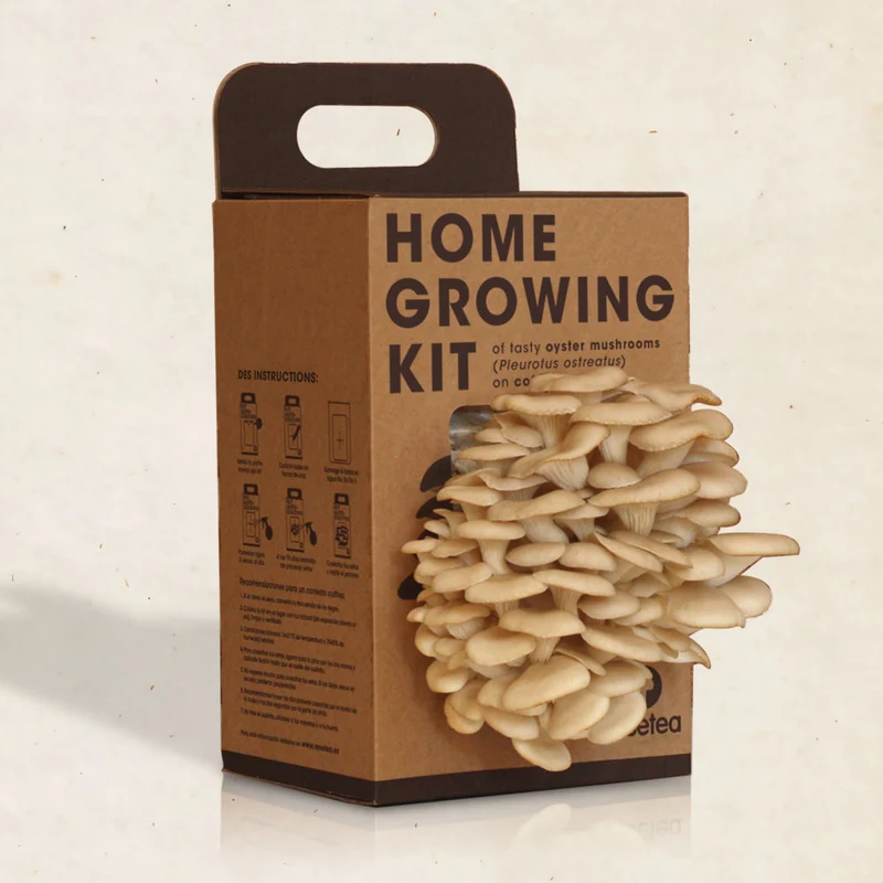 HOME GROWING KIT FUNGO DI OSTRICA