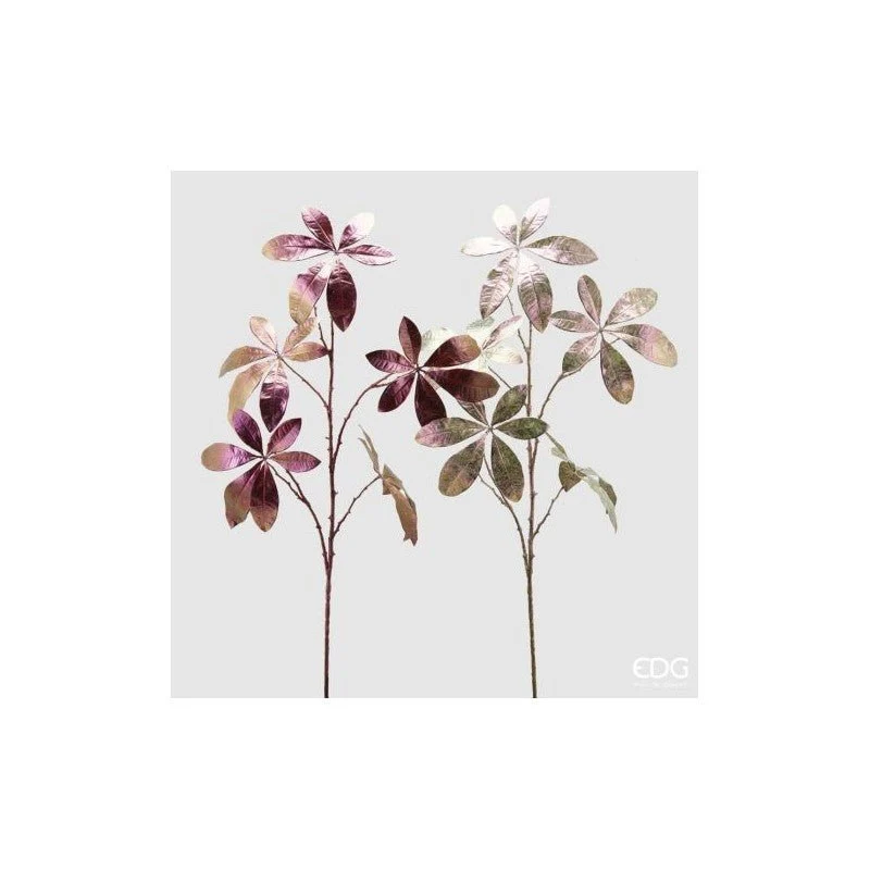 Ramo Scheflera Irid rosa | EDG