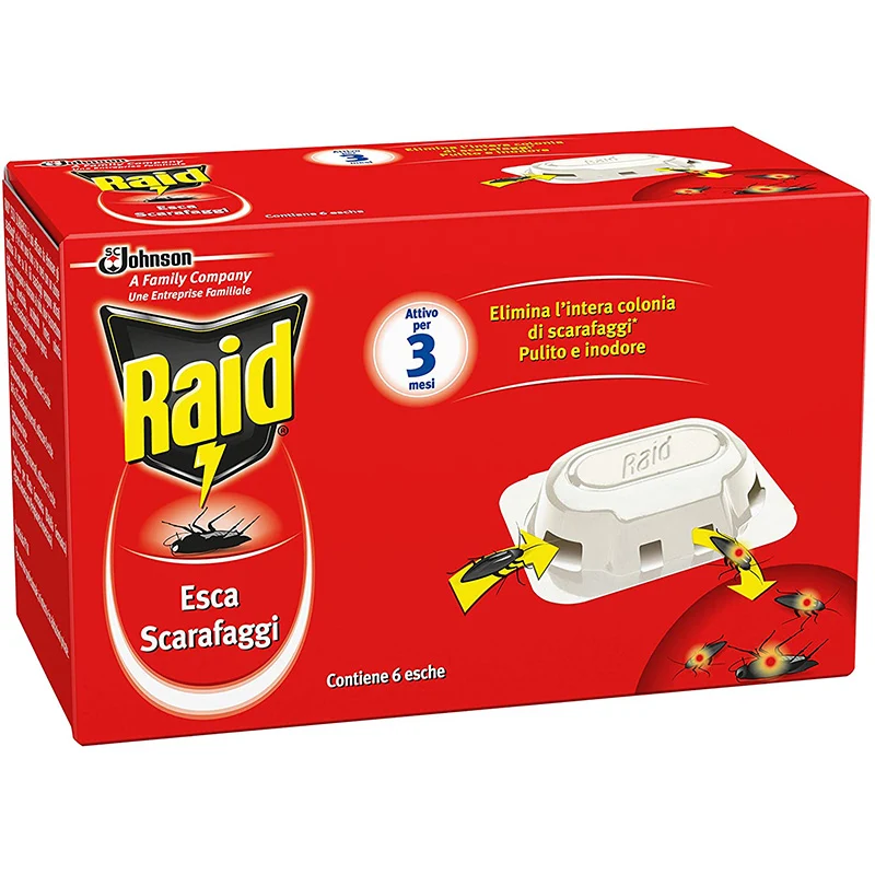 Esche Scarafaggi 6 Pz Raid
