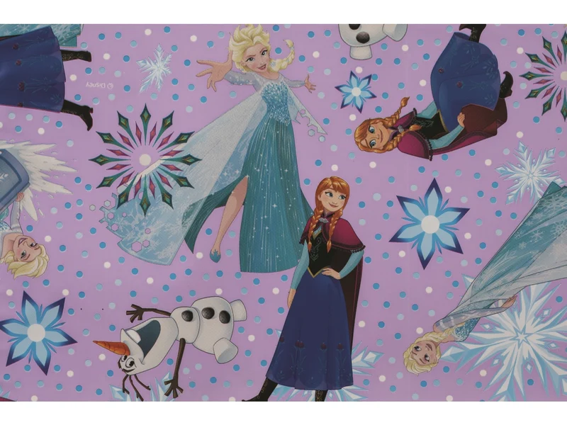 Rotolo carta regalo princess 70cmx2mt, fantasie assortite