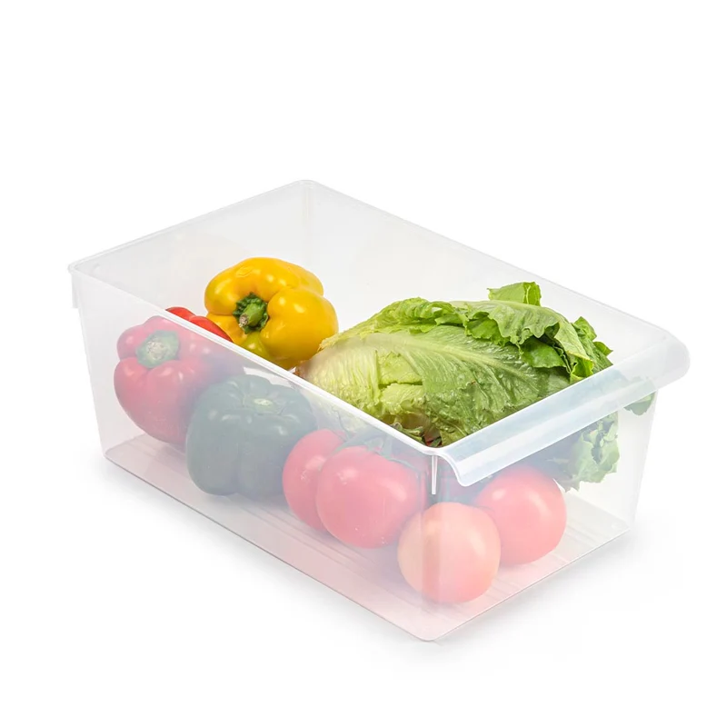 PlasticForte® Organizer System Frigo Nº14
