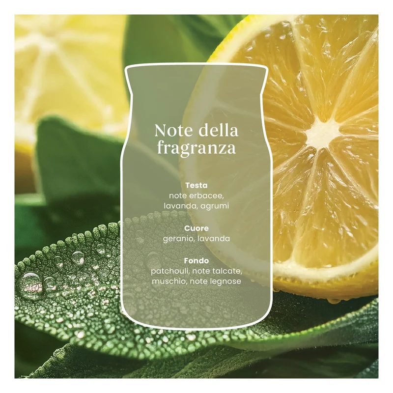 Candela Giara Piccola Yankee Candle Signature Sage & Citrus