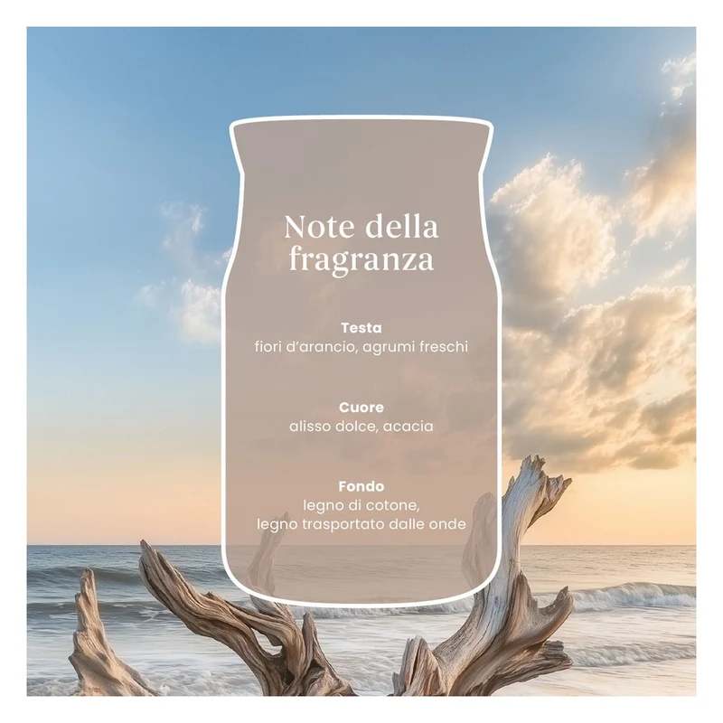 Candela Giara Piccola Yankee Candle Signature Seaside Woods