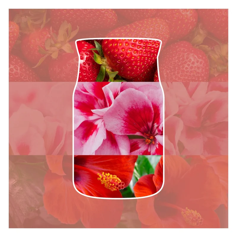 Candela Giara Grande Yankee Candle Signature Cliffside Sunrise