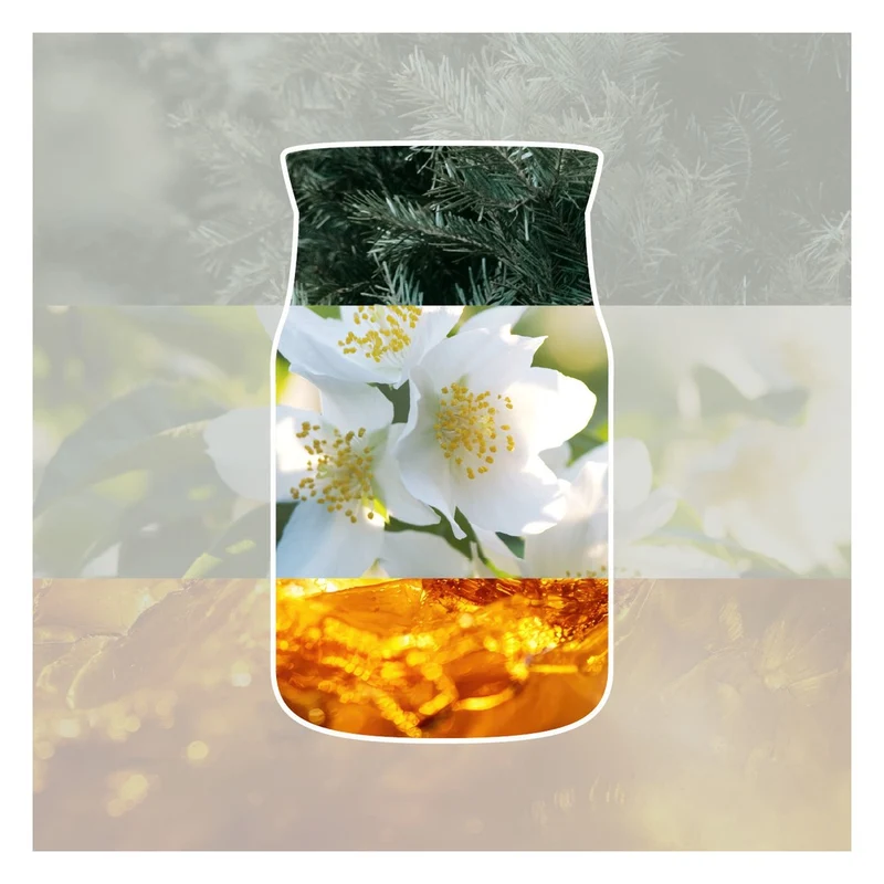 Candela Votiva in Vetro Yankee Candle Signature Silver Birch