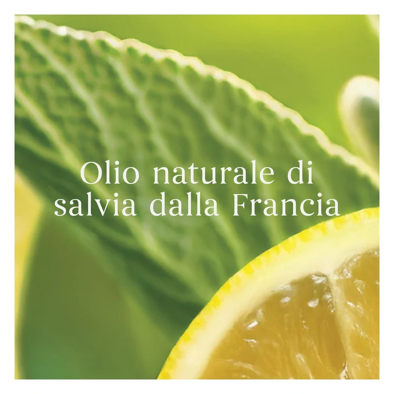 Profumatore per Auto Yankee Candle Car Jar Sage & Citrus