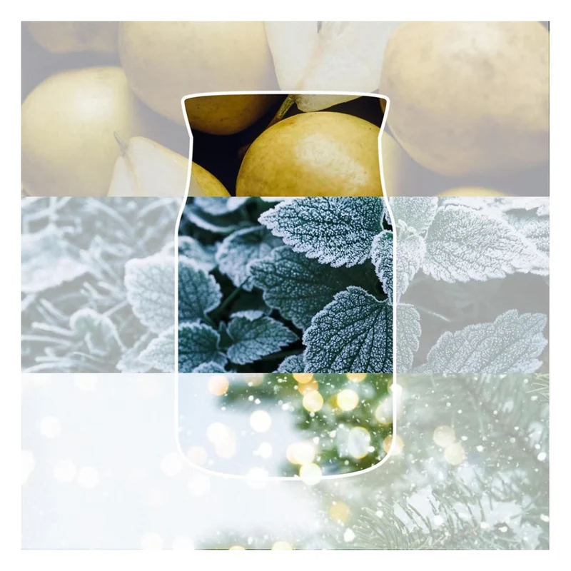 Candela Giara Media Yankee Candle Signature Winter Walk