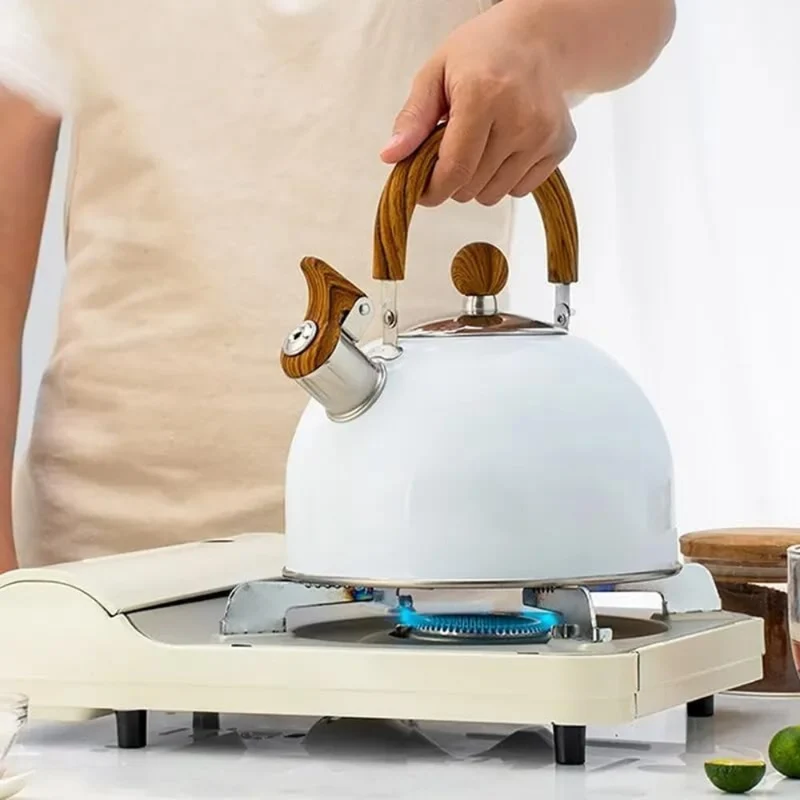 Classic Whistling Kettle for Home Kitchen