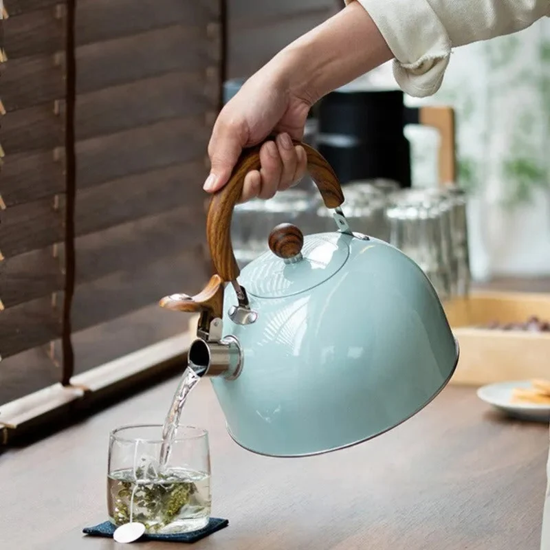 Classic Whistling Kettle for Home Kitchen
