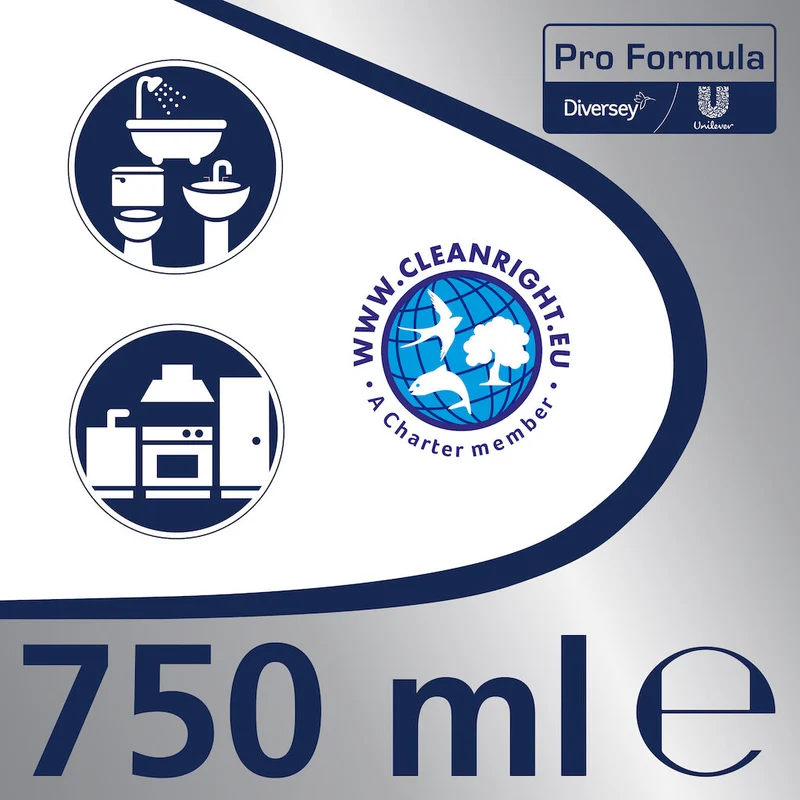Detergente per pulizia fughe piastrelle Diversey Domestos Gel per Fughe 750 ml