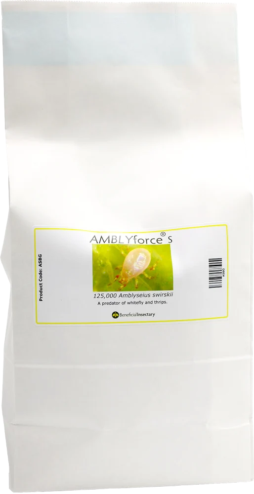 AMBLYforce S - 125,000 Mites - with 80% Bran + 20% Verm (ASBG)