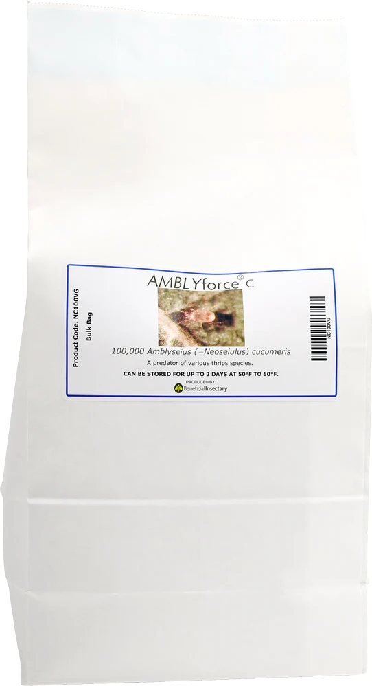 AMBLYforce C with Vermiculite