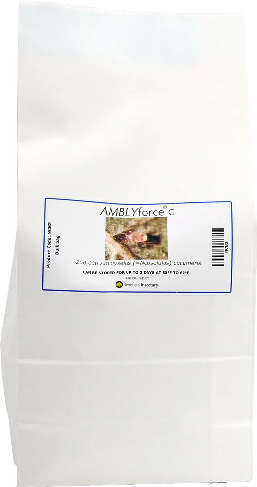 AMBLYforce C with Vermiculite