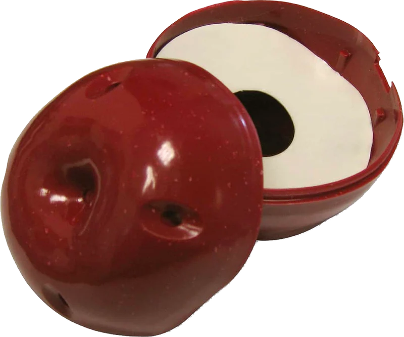 Trapple Fruit Fly Trap - Box of 6 Traps