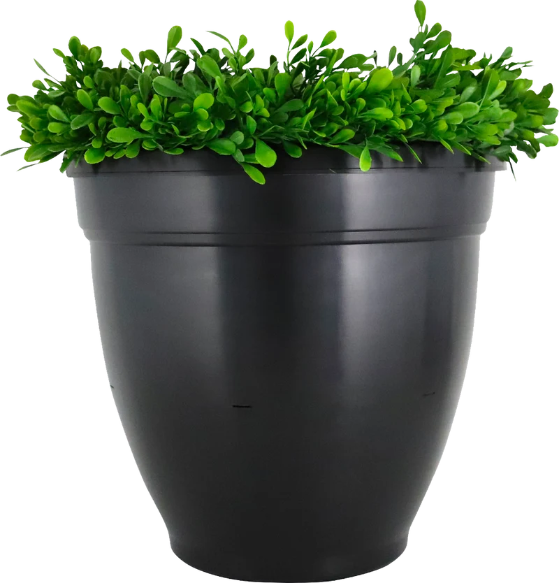 Ovi-Planter Mosquito Trap