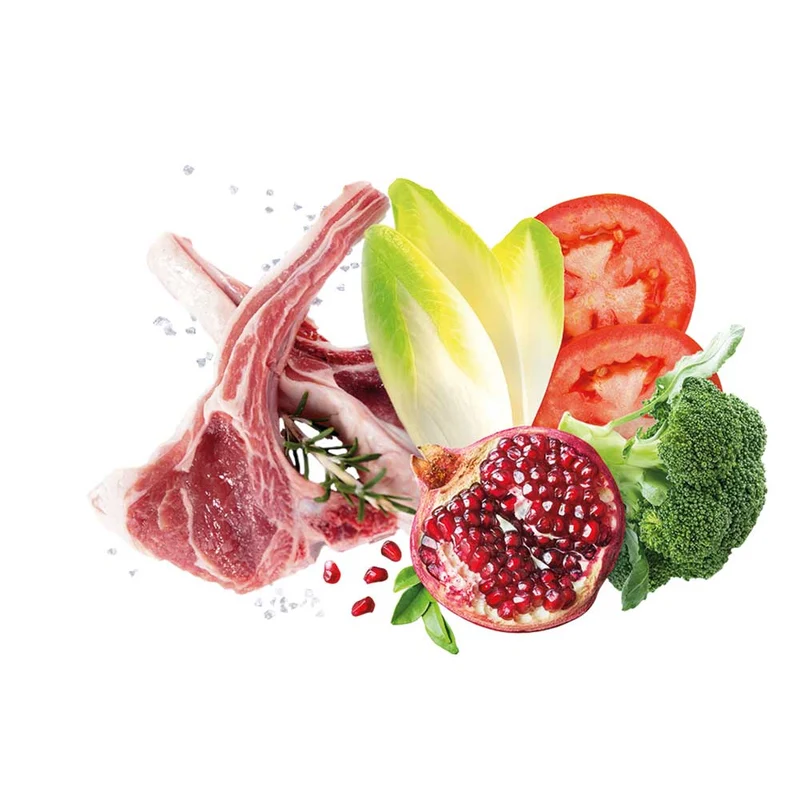 Alimento secco per cani Adult small Mediterraneo Agnello Exclusion