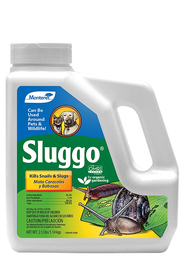 Sluggo Snail & Slug